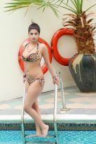 UAE hooker Komal Pool Model for sex for USD 1000 UAE hooker Komal Pool Model for sex for USD 1000